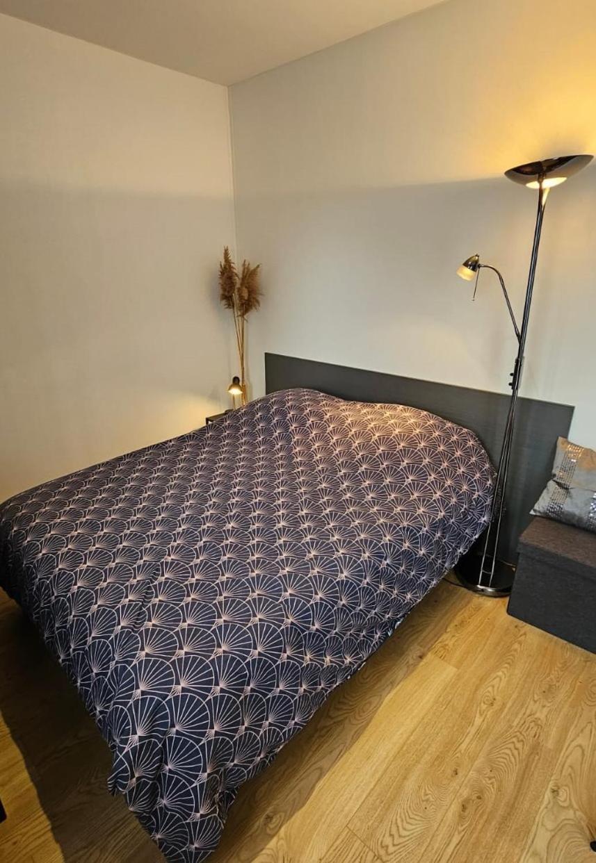Studio Les Deux Grenouilles 5Mn De Colmar Herrlisheim-près-Colmar Exteriör bild